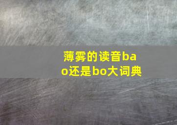 薄雾的读音bao还是bo大词典