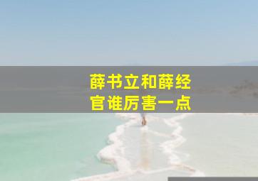 薛书立和薛经官谁厉害一点