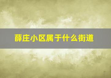 薛庄小区属于什么街道