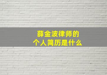 薛金波律师的个人简历是什么