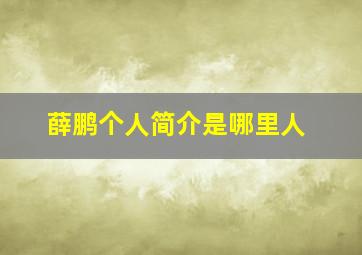 薛鹏个人简介是哪里人