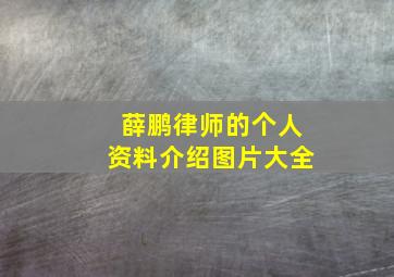 薛鹏律师的个人资料介绍图片大全