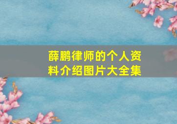 薛鹏律师的个人资料介绍图片大全集