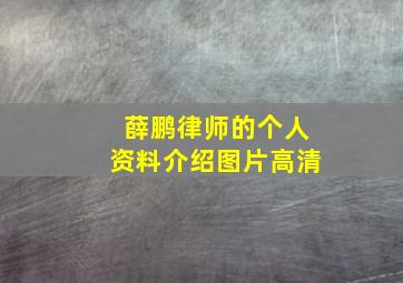 薛鹏律师的个人资料介绍图片高清