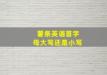 薯条英语首字母大写还是小写