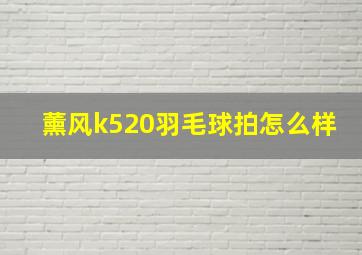 薰风k520羽毛球拍怎么样