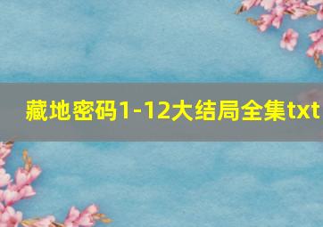 藏地密码1-12大结局全集txt