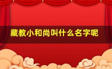 藏教小和尚叫什么名字呢