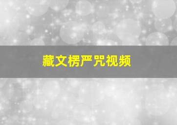 藏文楞严咒视频