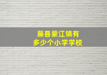 藤县蒙江镇有多少个小学学校