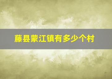 藤县蒙江镇有多少个村