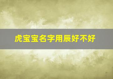 虎宝宝名字用辰好不好