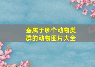 蚕属于哪个动物类群的动物图片大全