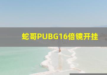 蛇哥PUBG16倍镜开挂