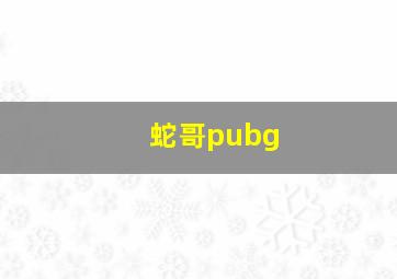 蛇哥pubg