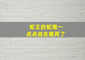 蛇王的蛇尾一点点进去就死了