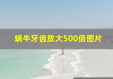 蜗牛牙齿放大500倍图片