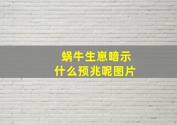 蜗牛生崽暗示什么预兆呢图片