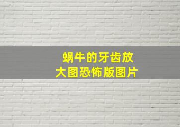 蜗牛的牙齿放大图恐怖版图片