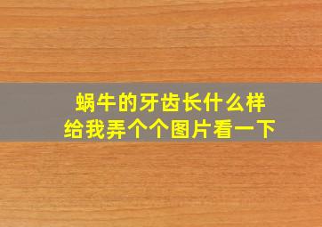 蜗牛的牙齿长什么样给我弄个个图片看一下