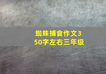 蜘蛛捕食作文350字左右三年级