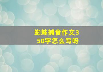 蜘蛛捕食作文350字怎么写呀