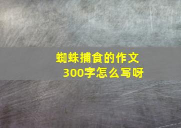 蜘蛛捕食的作文300字怎么写呀