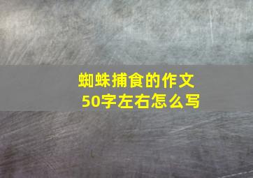 蜘蛛捕食的作文50字左右怎么写