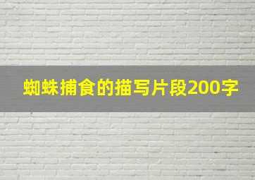 蜘蛛捕食的描写片段200字