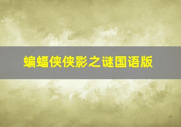 蝙蝠侠侠影之谜国语版