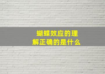 蝴蝶效应的理解正确的是什么