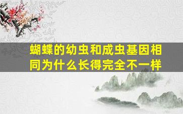 蝴蝶的幼虫和成虫基因相同为什么长得完全不一样