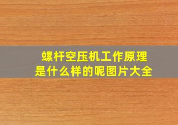 螺杆空压机工作原理是什么样的呢图片大全