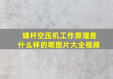 螺杆空压机工作原理是什么样的呢图片大全视频