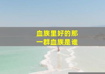 血族里好的那一群血族是谁