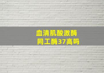 血清肌酸激酶同工酶37高吗