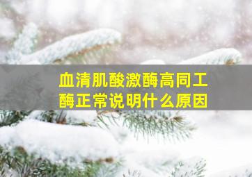 血清肌酸激酶高同工酶正常说明什么原因