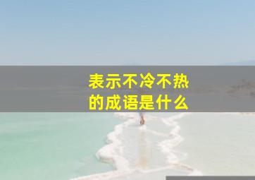 表示不冷不热的成语是什么