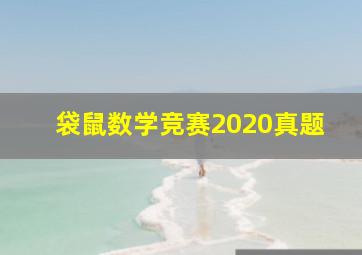 袋鼠数学竞赛2020真题