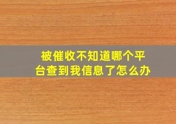 被催收不知道哪个平台查到我信息了怎么办