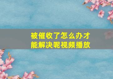 被催收了怎么办才能解决呢视频播放