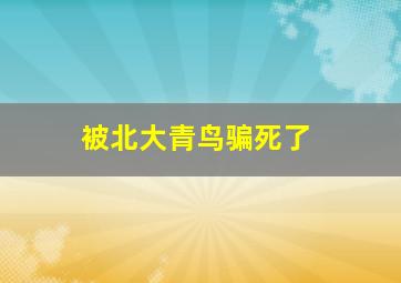 被北大青鸟骗死了