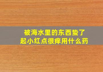 被海水里的东西蛰了起小红点很痒用什么药