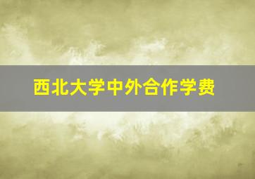 西北大学中外合作学费