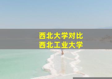 西北大学对比西北工业大学