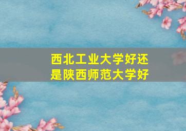 西北工业大学好还是陕西师范大学好