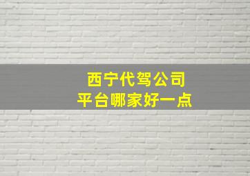 西宁代驾公司平台哪家好一点