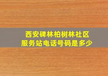 西安碑林柏树林社区服务站电话号码是多少