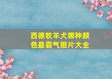 西德牧羊犬哪种颜色最霸气图片大全