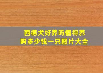 西德犬好养吗值得养吗多少钱一只图片大全